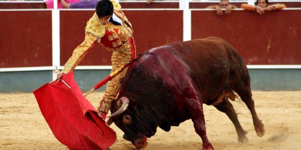 European Parliament sends double message on EU support to bullfighting in new agriculture policy