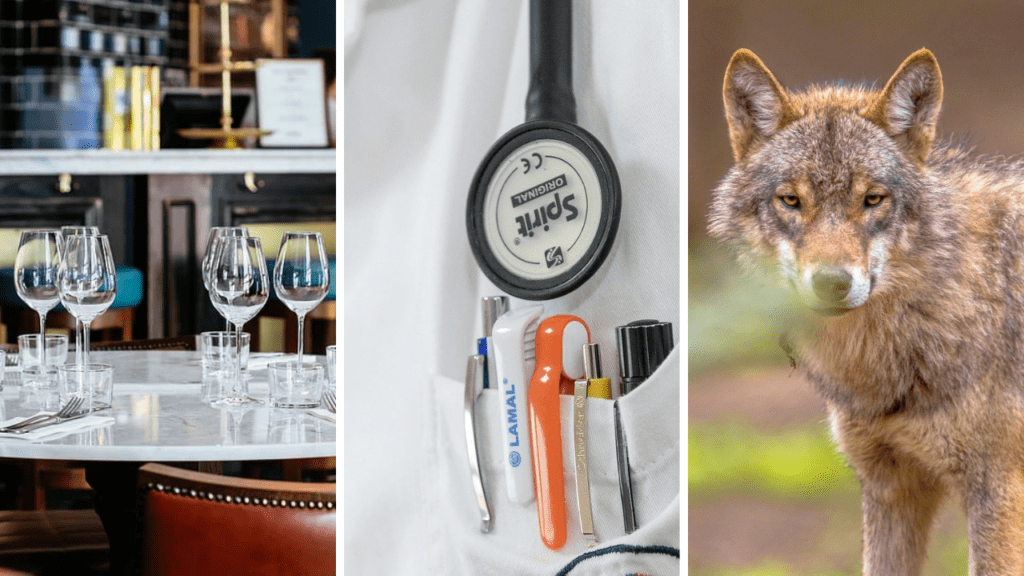 Belgium in Brief: Not A Lockdown