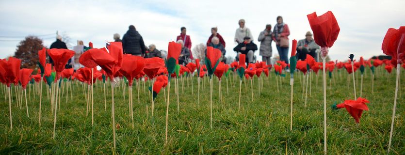 Belgium on Holiday: What is Armistice Day?