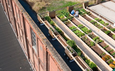 Roof farm pioneer sets her sights on the horizon