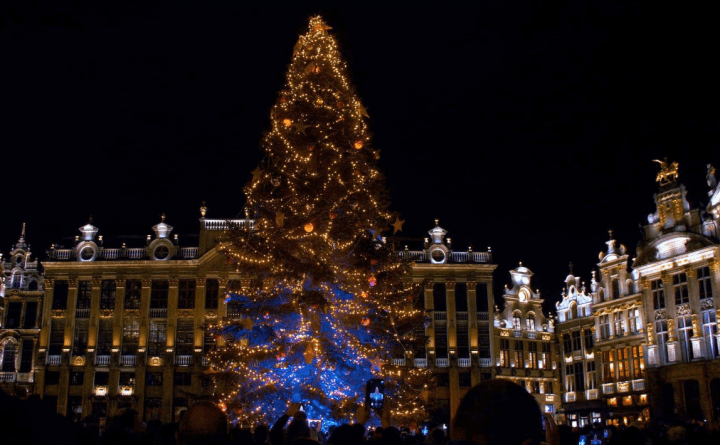 Brussels will set up giant Christmas tree on Thursday