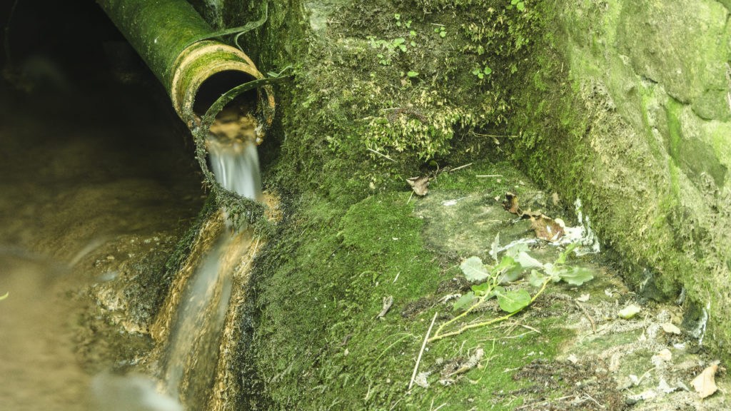 Up to 400,000 homes send sewage straight into environment
