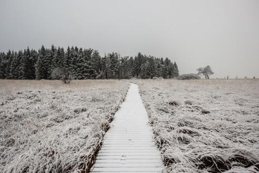 Weather report: Belgium will see more snowfall this week