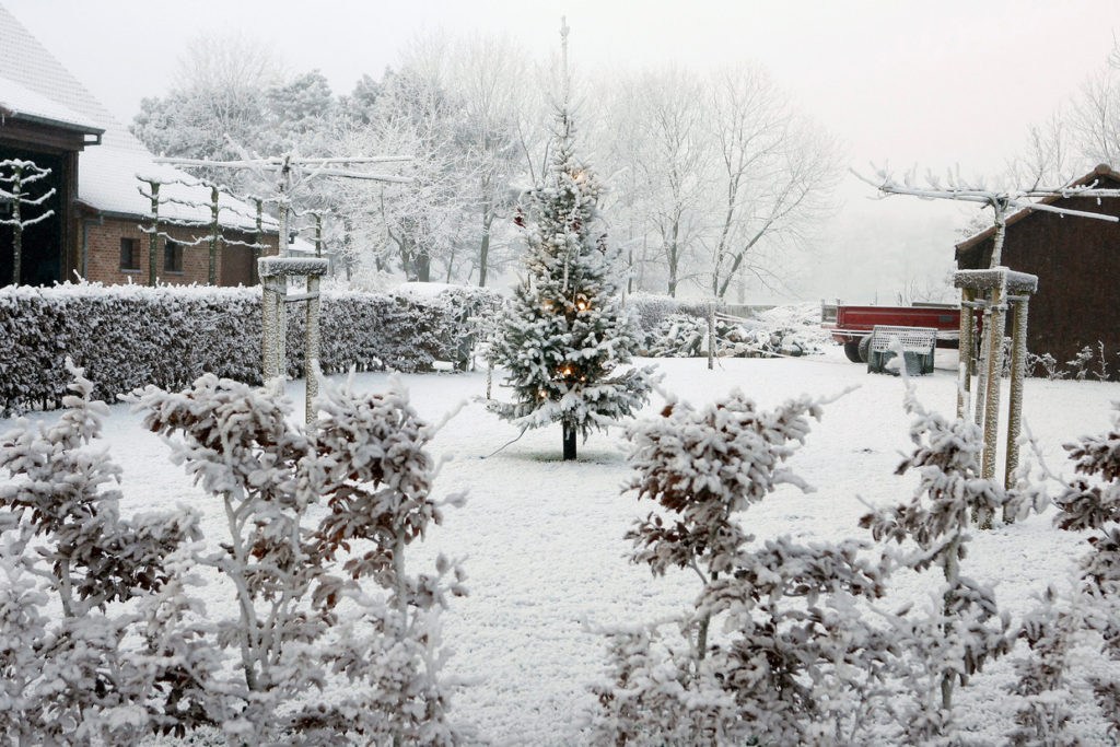 No white Christmas, but could Belgium see snow on New Year's?