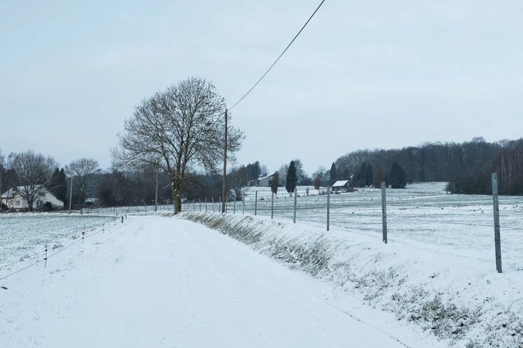 Weather report: snow expected in Belgium for end of 2020