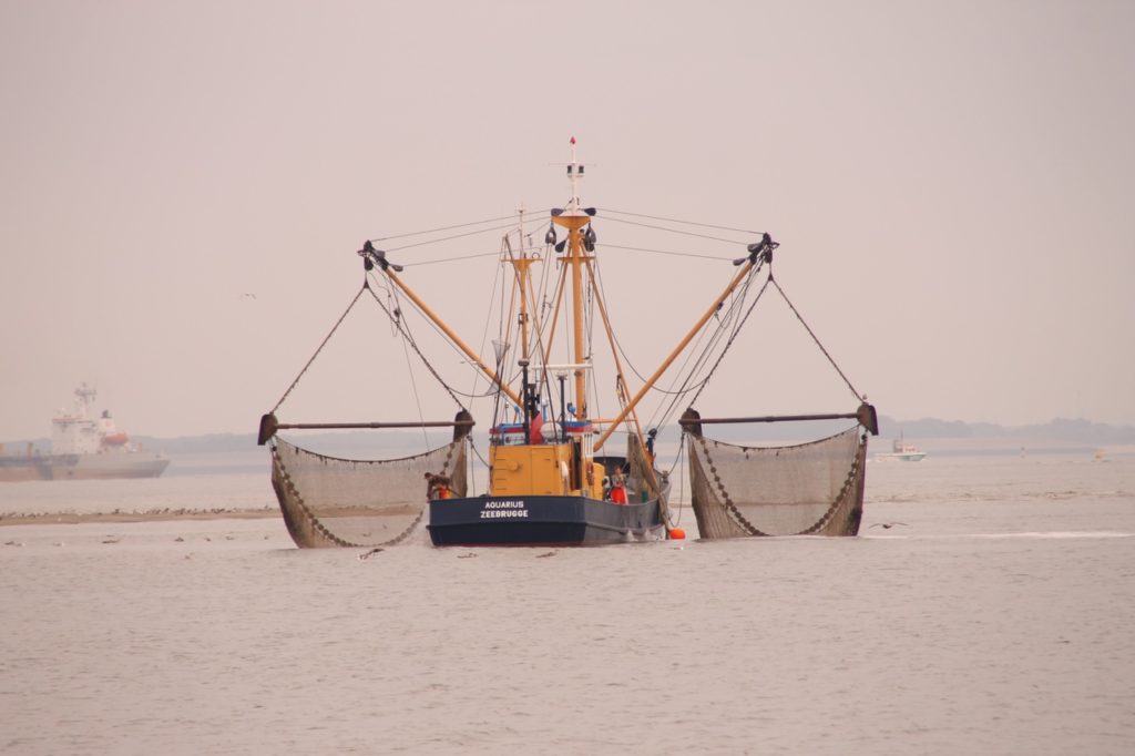 Belgian fishing industry flounders