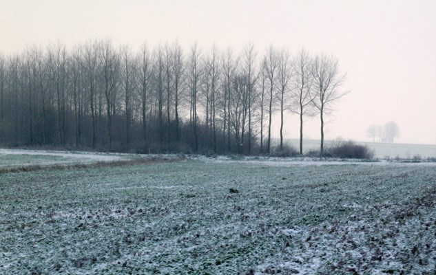 More snow expected in Belgium through Thursday