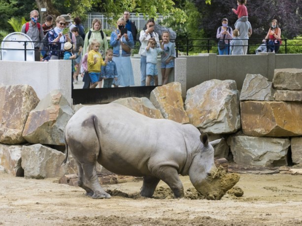 Zoos and campings will reopen next week: reports