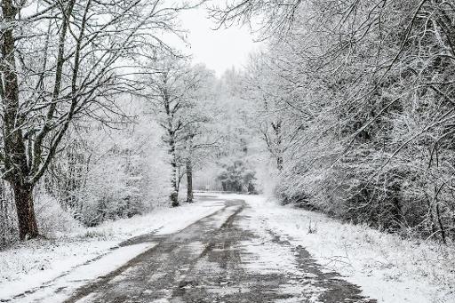 Last winter was warmer than average for Europe