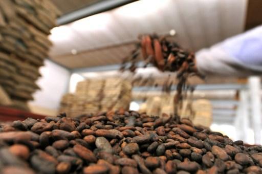 Coffee bean prices near decade high