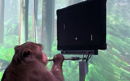 Video: Elon Musk's Neuralink shows monkey playing video game with mind