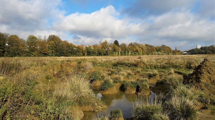 Belgium’s most biodiverse nature reserve under threat