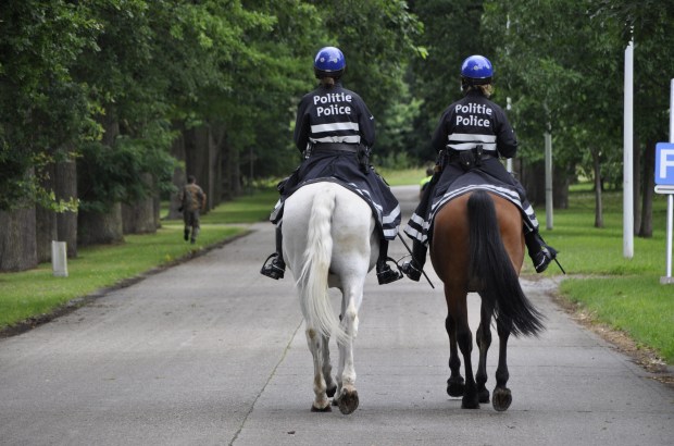 Petition against the use of police horses and dogs gains 25,000 signatures