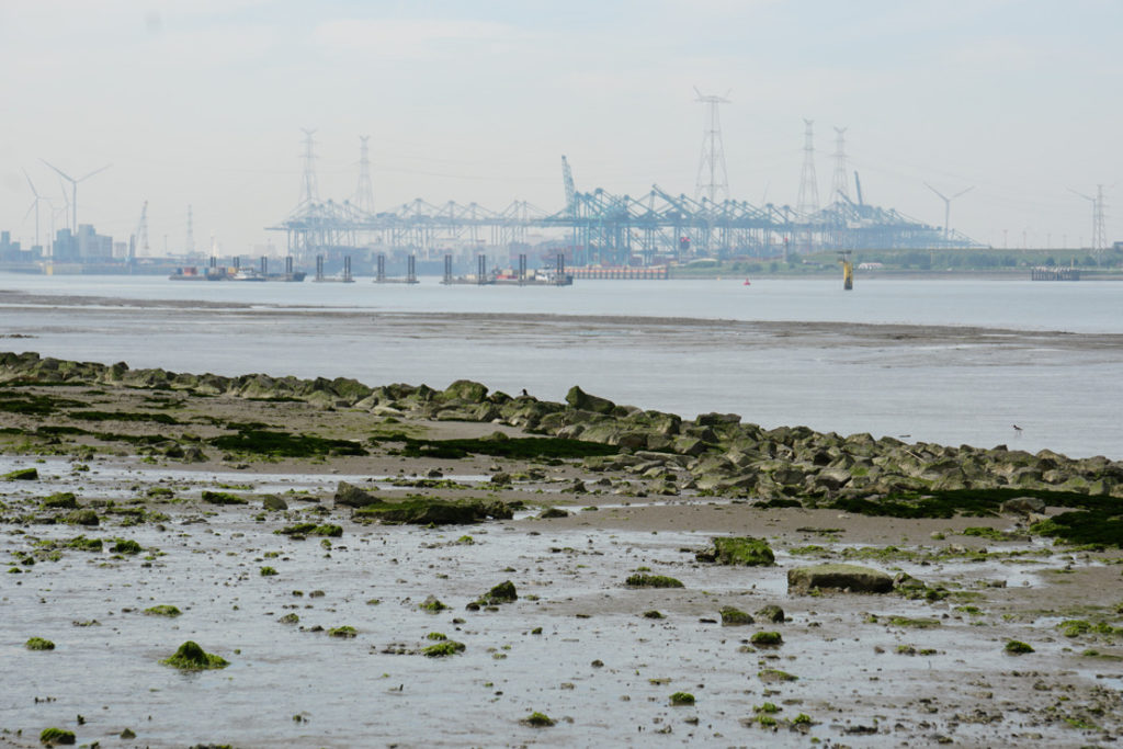 Foul odour at Port of Antwerp under investigation