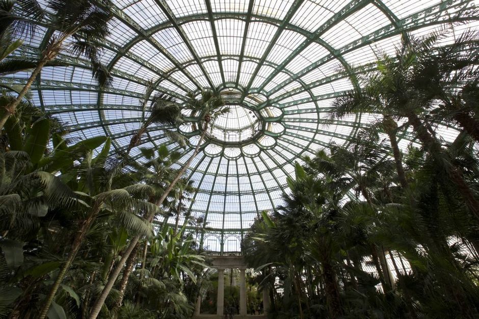 Laeken royal greenhouses to open today, despite coronavirus crisis