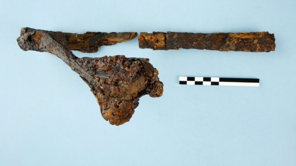 200-year-old archaeological find in Flanders revealed to be hernia truss