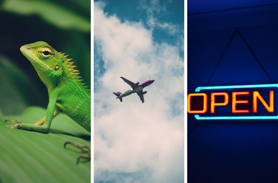 Belgium in Brief: Writing Into The Wind