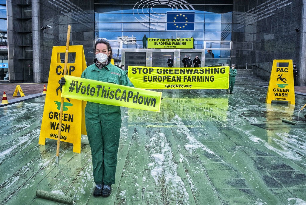 Activists colour European parliament green amid controversial farming policy discussions