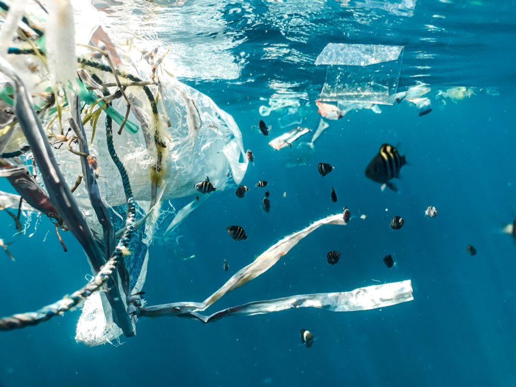 Belgium joins Ocean Plastics Charter