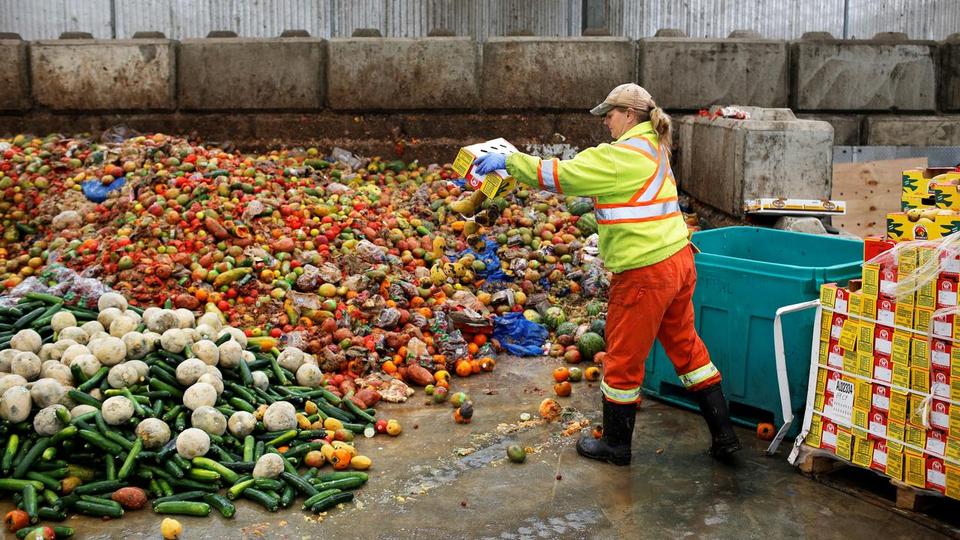 Food waste: How can it be reduced in the EU and globally?
