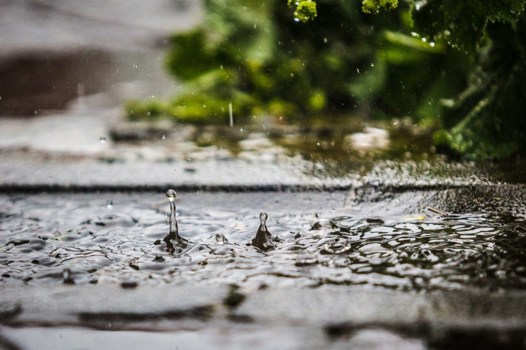 Wettest July on record for more than 40 years