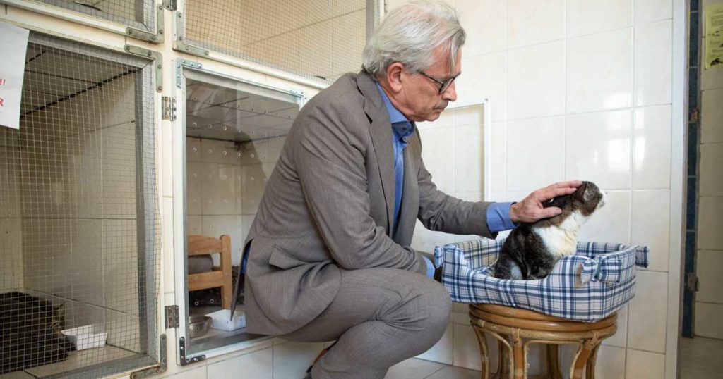 Brussels offers subsidy for animal shelters