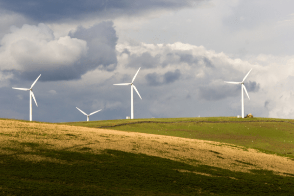 Renewable electricity capacity growing, but not enough for CO2 neutrality by 2050