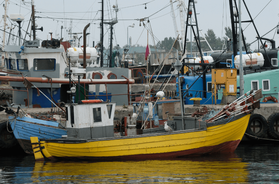 Belgian fishing industry grows slightly in 2021