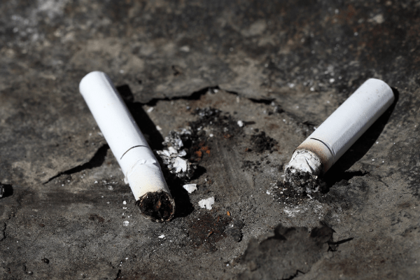 Over 65,000 cigarette butts collected in Brussels on Car Free Sunday