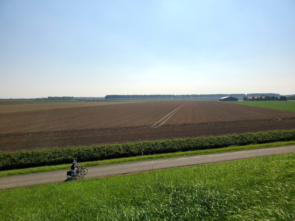 Drought crisis: Belgium asks permission to ignore certain EU agricultural rules