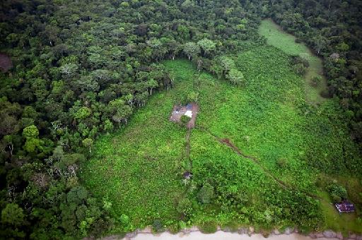 New motions set to protect the Amazon adopted
