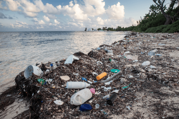Coca-Cola, Pepsi and Unilever are world's biggest plastic polluters