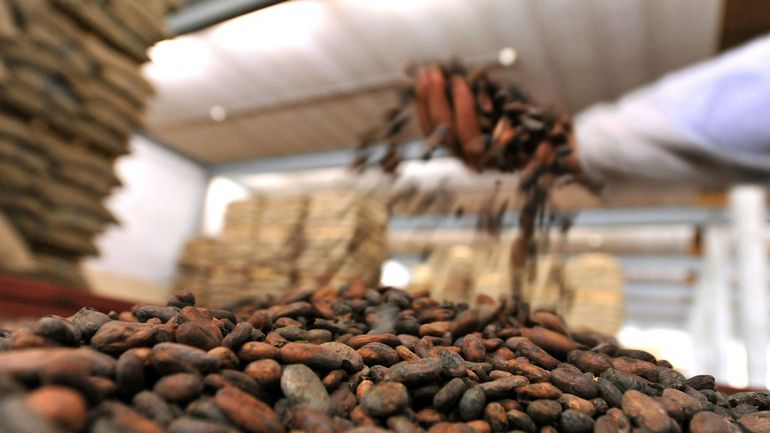 World's largest chocolate warehouse opens in Flanders