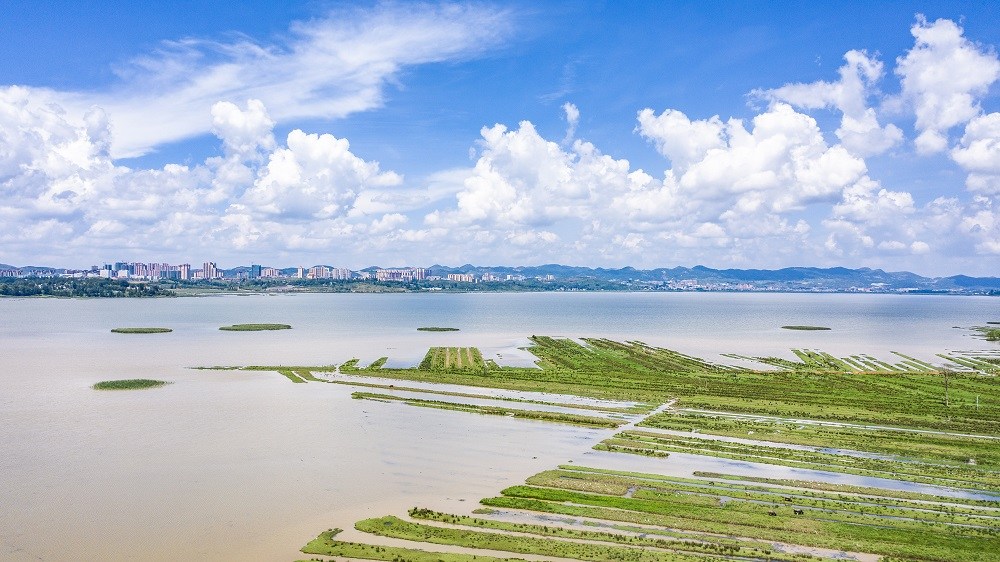 China Focus: China walks the talk in pursuing green future