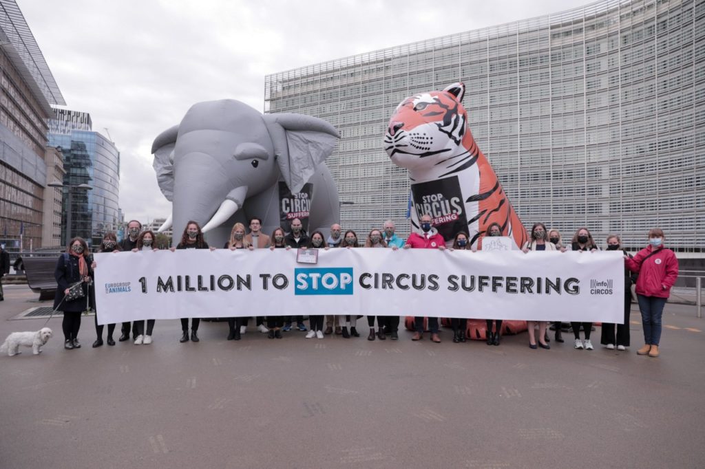 EU citizens call on the European Commission to ban the use of wild animals in circuses