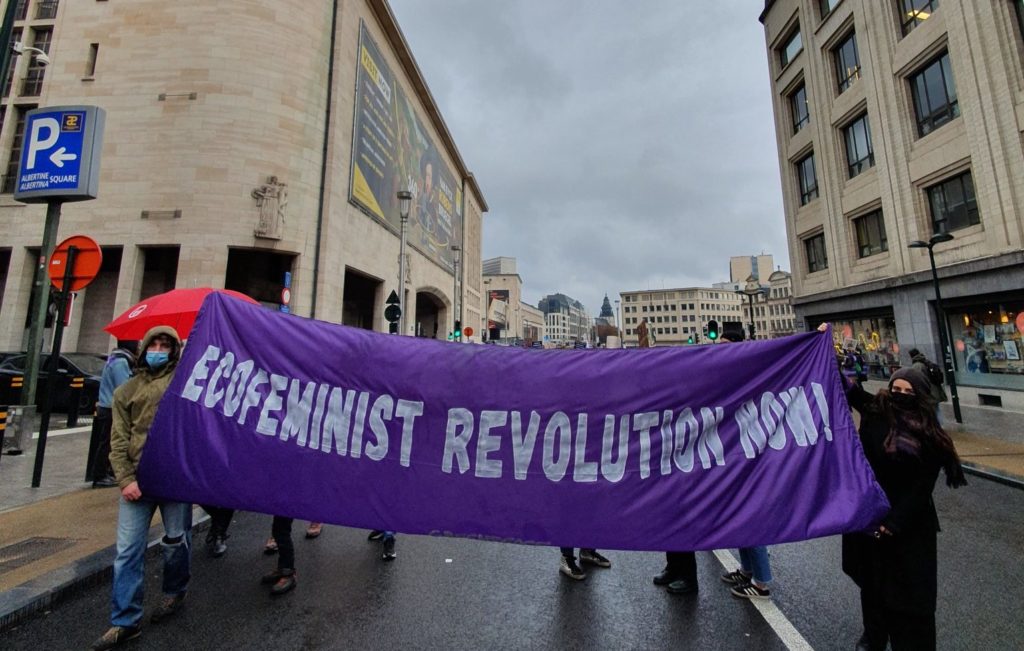 Thousands march in Brussels to raise awareness of violence against women