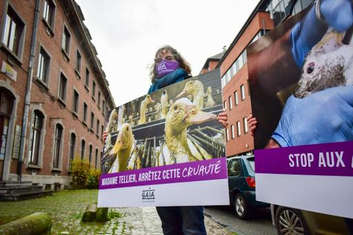 GAIA urges Brussels and Flanders to ban sale of force-fed foie gras