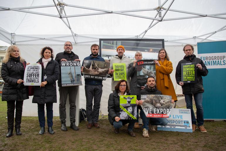 NGOs and MEPs protest against live animal transports in the EU
