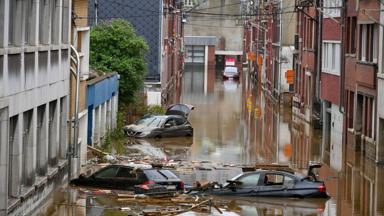 ‘Societies need to urgently adapt’: Natural disasters cause billions in damages in 2021