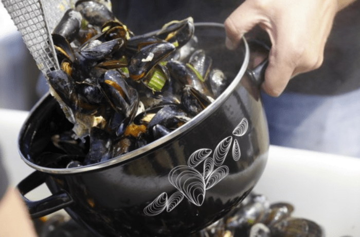 Colruyt starts mussel farm off Belgian coast