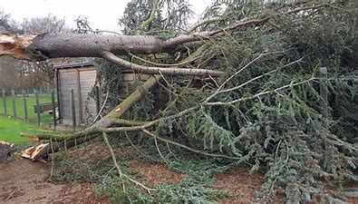 Brussels parks shut as winds rise pending 'orange' storm warning