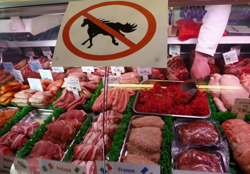 EU animal welfare rules not respected in horse meat trade