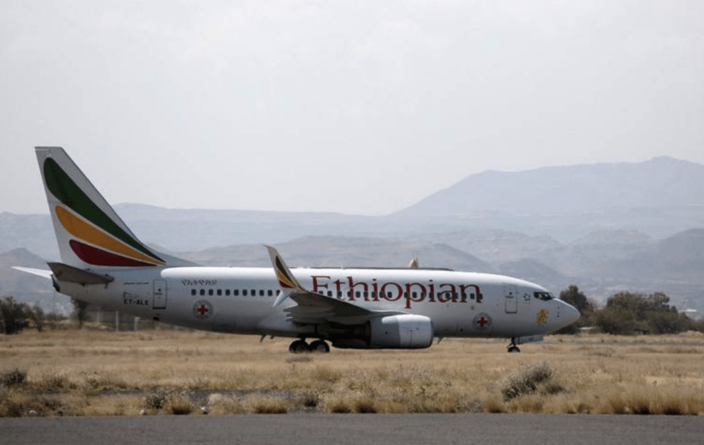Belgium grants asylum to Ethiopian plane stowaways