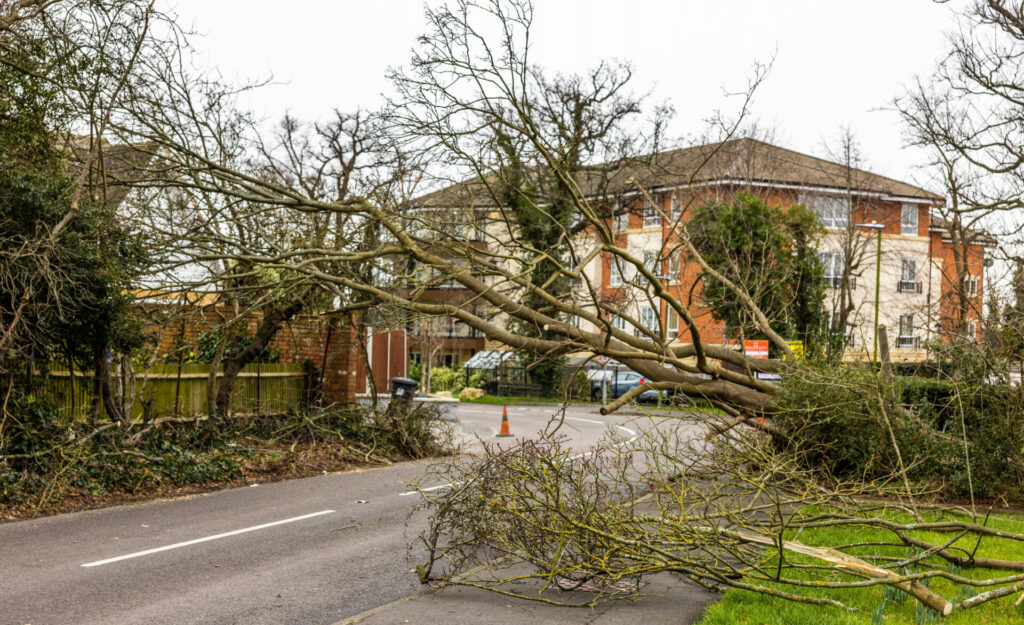 February storms cause over €500 million damage