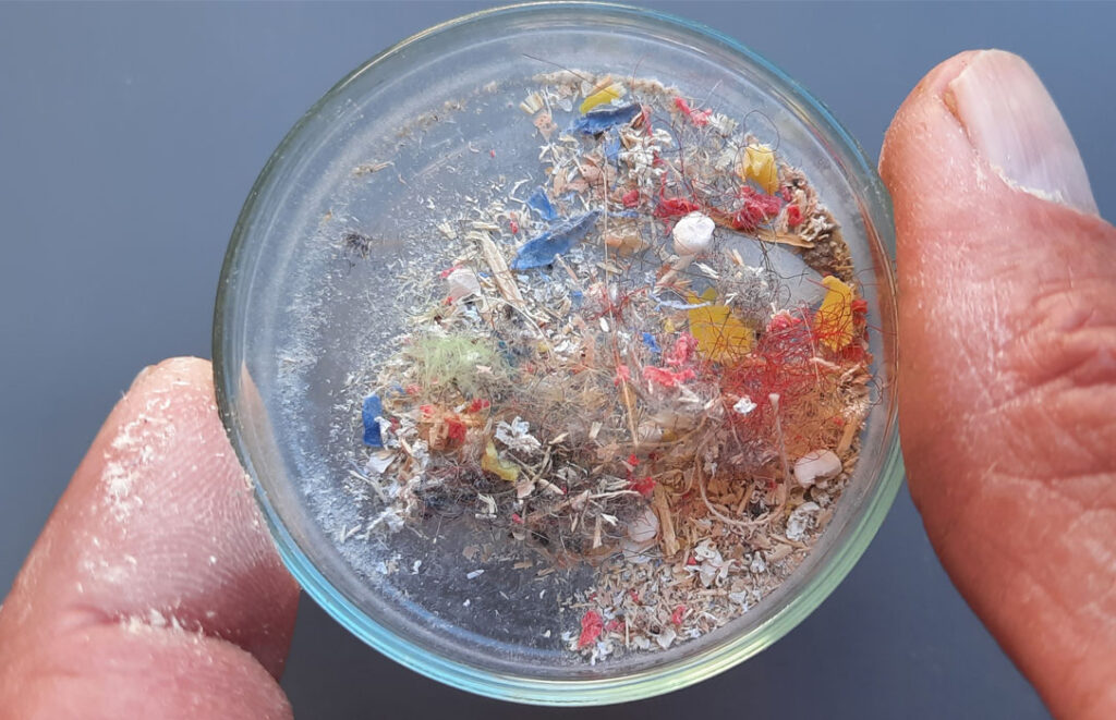 How+microplastics+sneak+into+your+brain