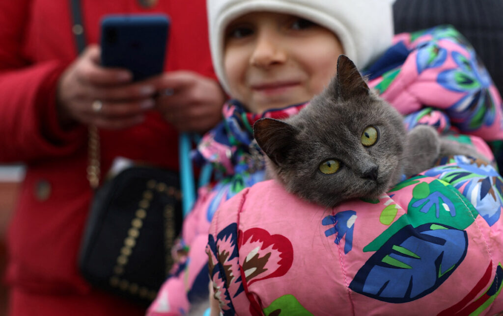 Belgian charity offers free care for Ukrainian refugees' pets