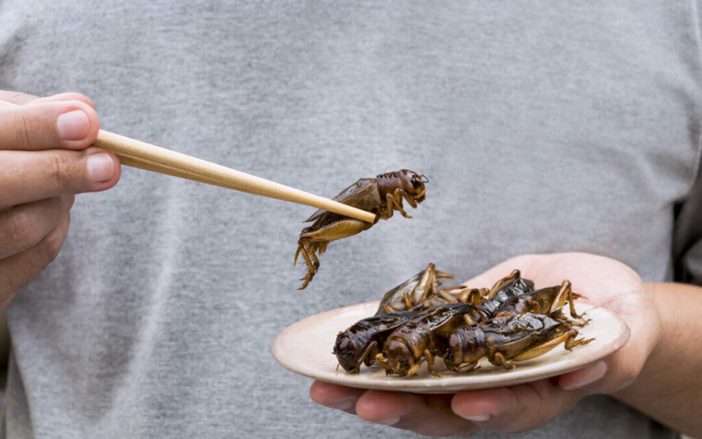 Can a sustainable food system and insects be served on the same plate?