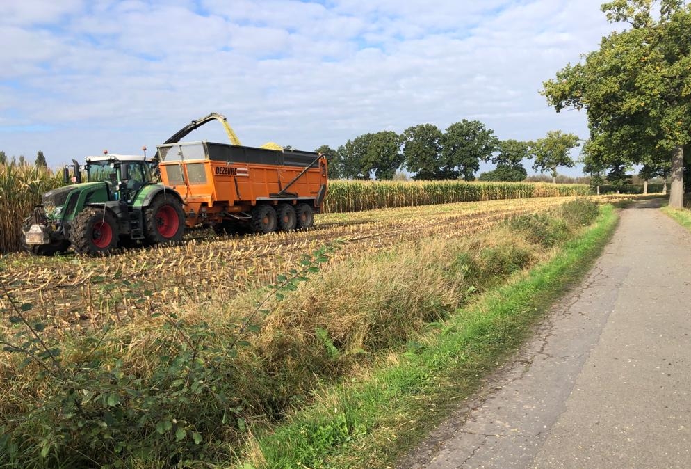 Reducing nitrogen pollution: Flanders launches public enquiry