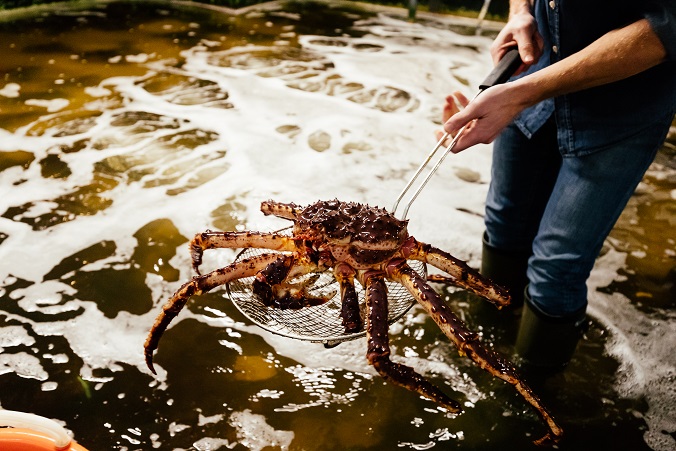 Hidden Belgium: The Blankenberge oyster farm