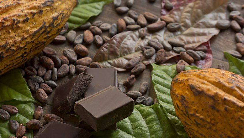 With great chocolate comes great responsibility: How sustainable is Belgian chocolate?